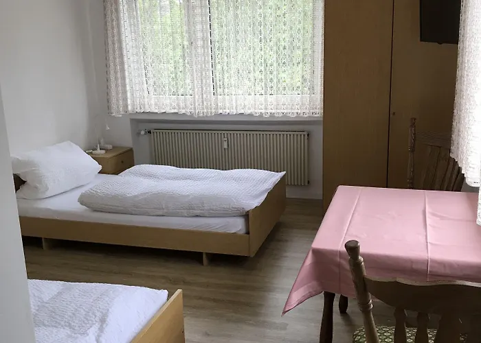 Affittacamere Gaestehaus Fries 3*